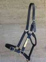 Halter with brass fittings