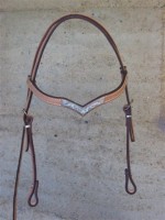 V brow bridle